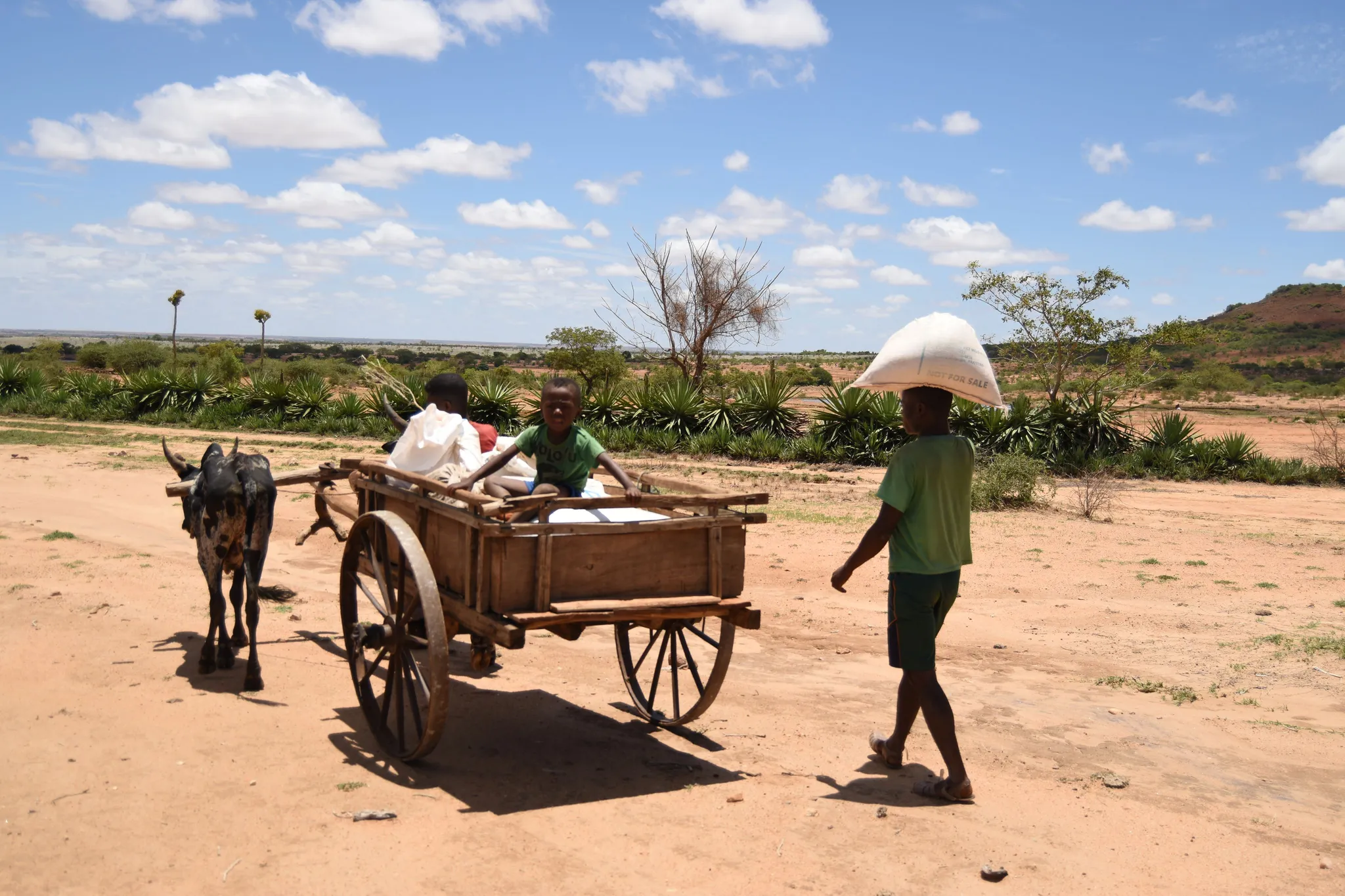 Région Androy, Madagascar
