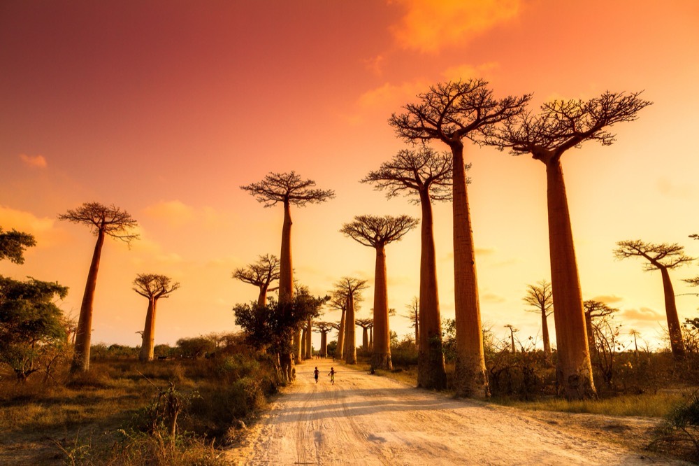 Région Menabe, Madagascar
